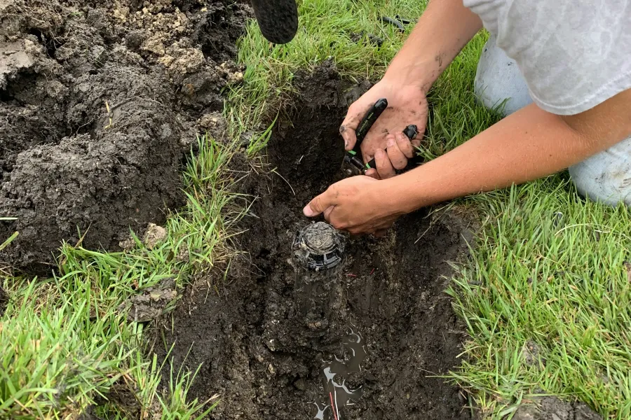 Installing irrigation