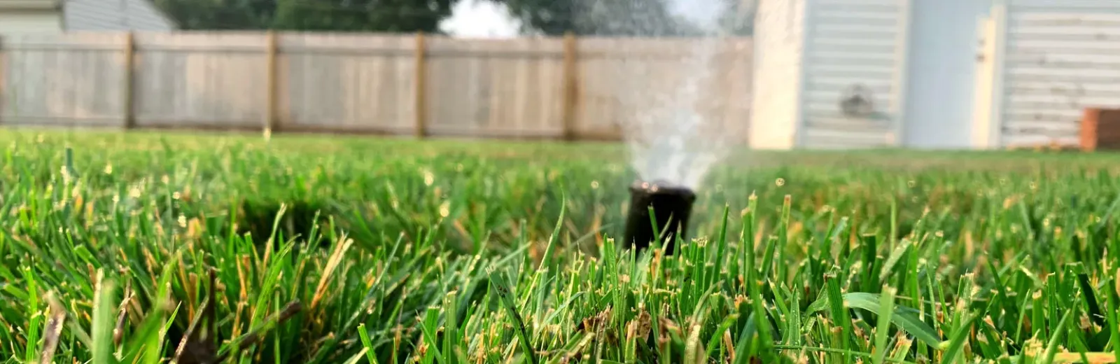 Sprinkler watering lawn