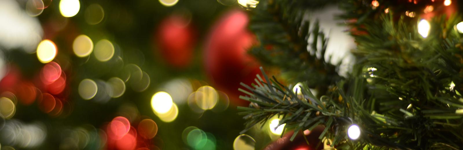 close up of a christmas tree with lights and red bulbs